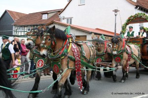 Neustadt_2015_Festzug (120)