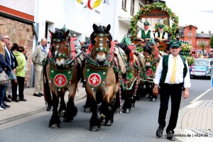 Neustadt_2015_Festzug (121)