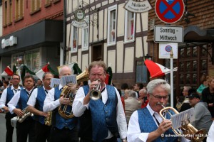 Neustadt_2015_Festzug (270)