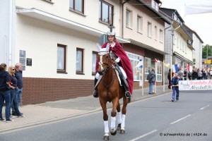 Neustadt_2015_Festzug (285) 