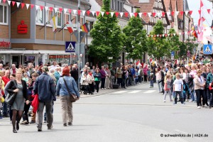 Neustadt_2015_Festzug (287) 